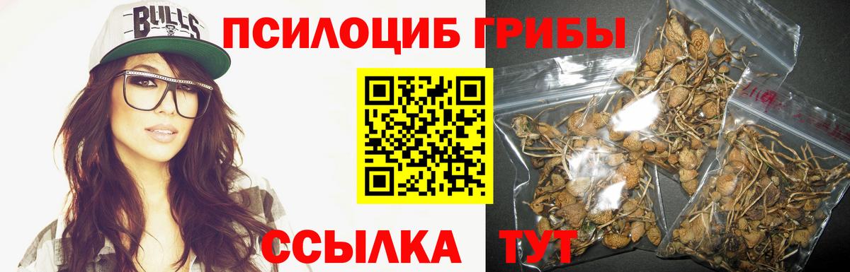 Псилоцибиновые грибы Magic Shrooms  Вход с VPN  Астрахань 