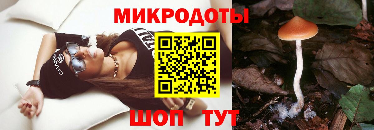 Галлюциногенные грибы Cubensis Астрахань